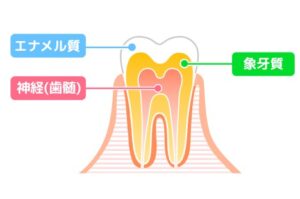 大府市（愛知県）の歯医者、斎藤歯科医院で、子どもの歯が黄色い！歯科医師が教える、乳歯の黄ばみの正体と根本解決法を解説