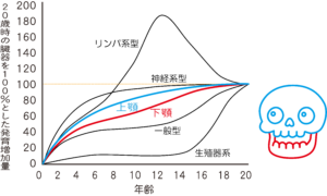 「受け口（反対咬合）」を放置するとどうなる？考えられるリスクと早期治療のメリットを解説